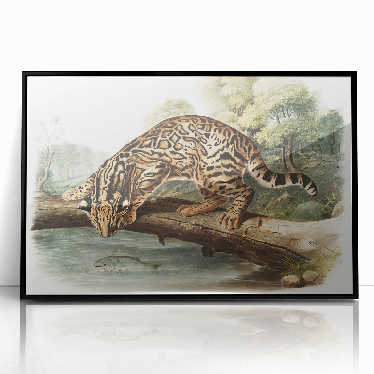 Romantic Era Art: "Ocelot or Leopard Cat" by John Woodhouse Audubon