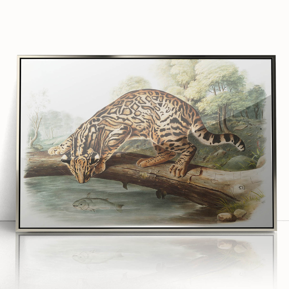 Romantic Era Art: "Ocelot or Leopard Cat" by John Woodhouse Audubon