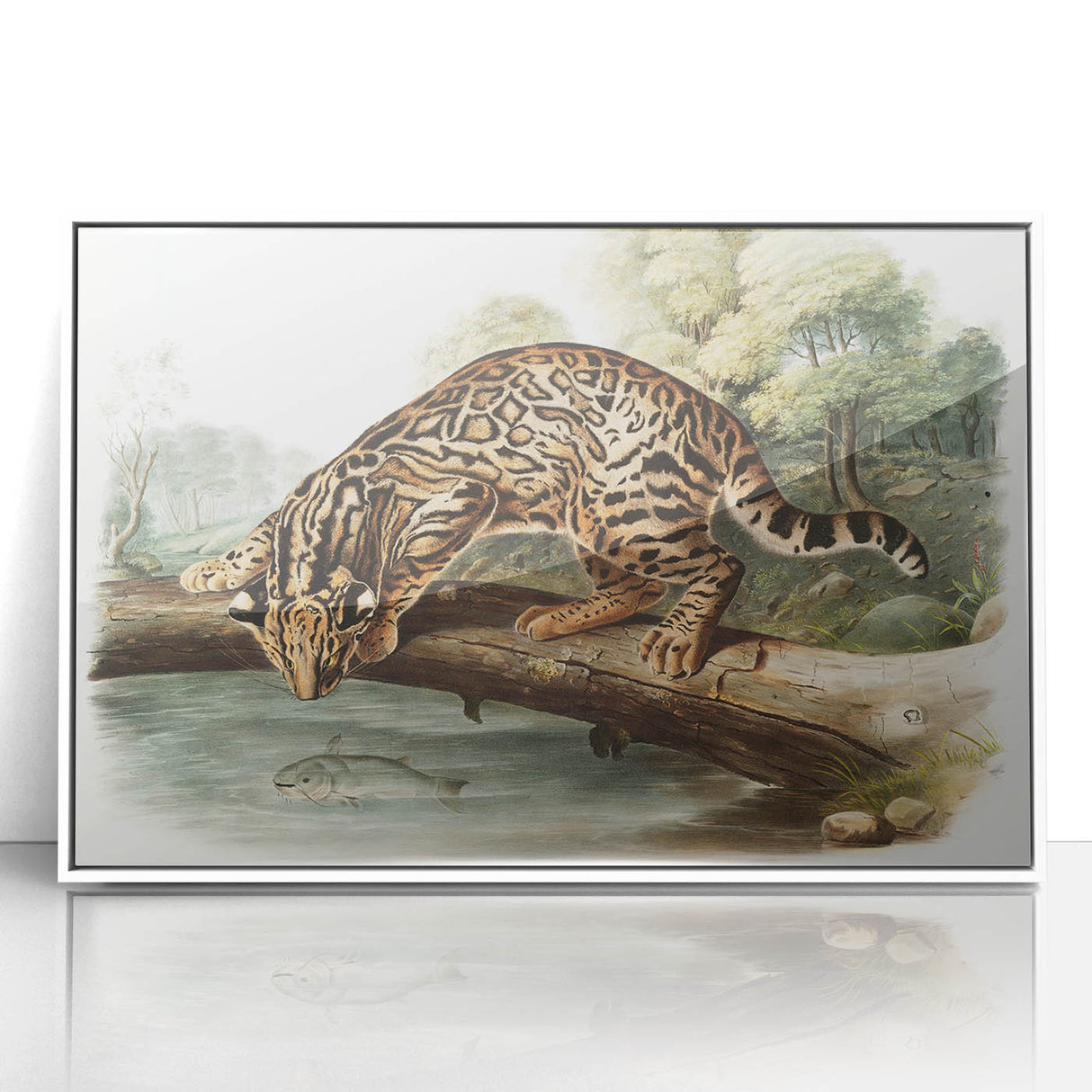 Romantic Era Art: "Ocelot or Leopard Cat" by John Woodhouse Audubon