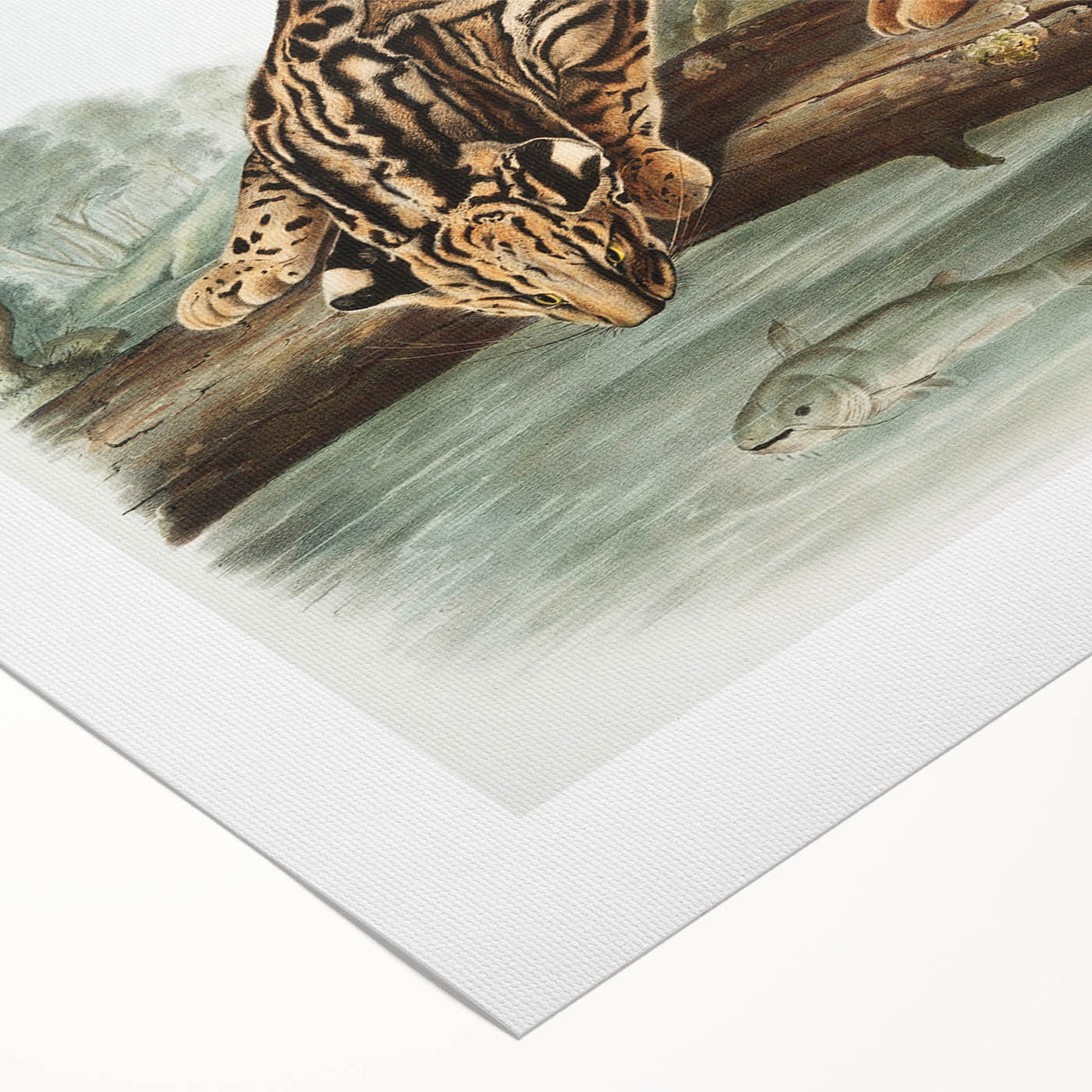Romantic Era Art: "Ocelot or Leopard Cat" by John Woodhouse Audubon