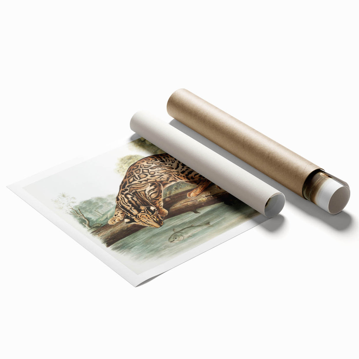 Romantic Era Art: "Ocelot or Leopard Cat" by John Woodhouse Audubon