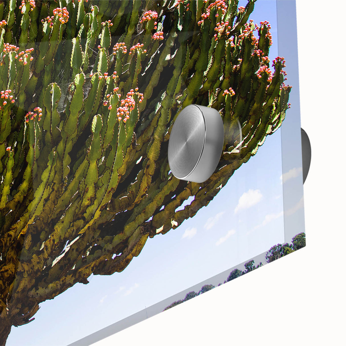 Large abstract wall art depicting an Ethiopian landscape in muted earth tones on acrylic glass.