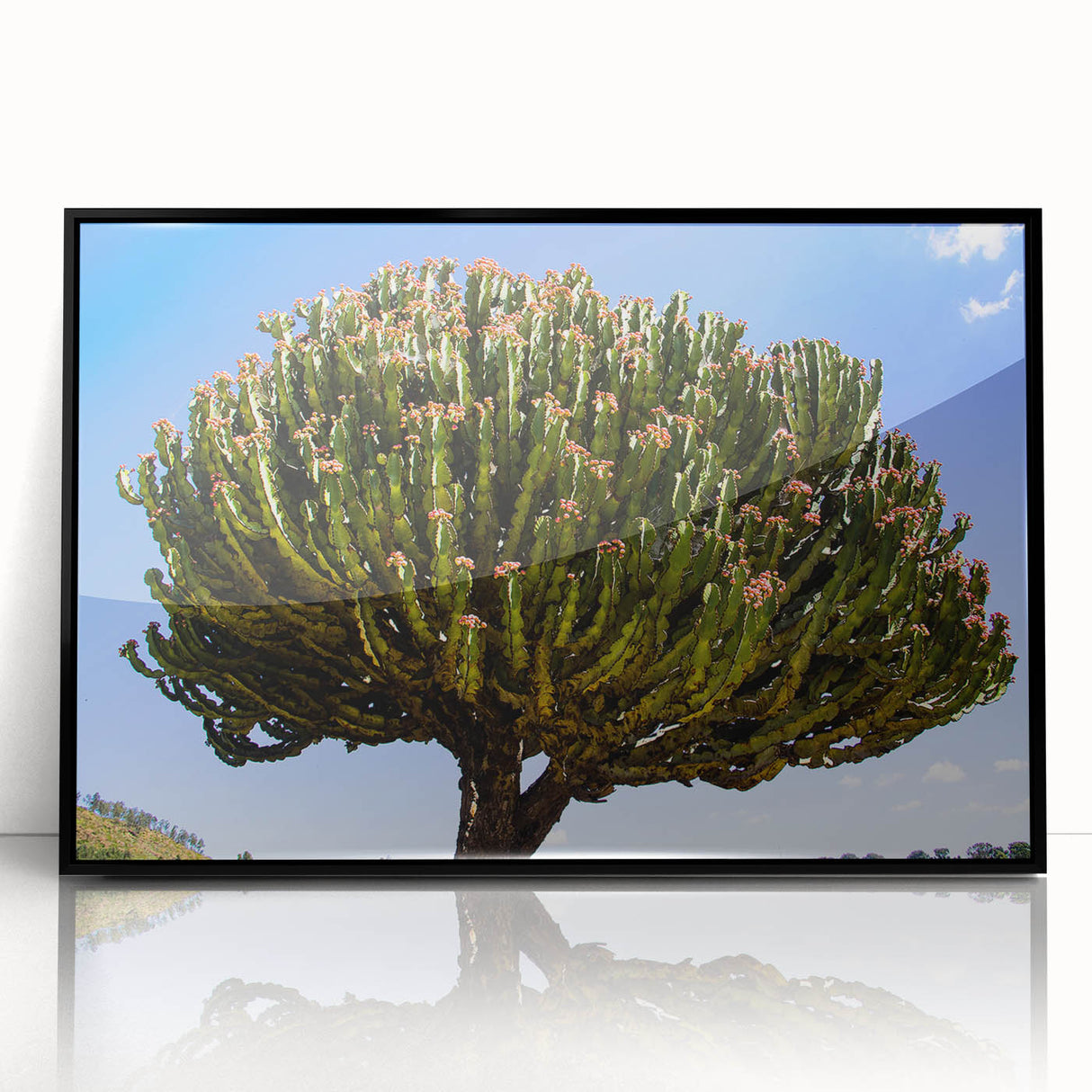 Large abstract wall art depicting Ethiopian scenery in black and white tones on a framed acrylic, suitable for modern decor.