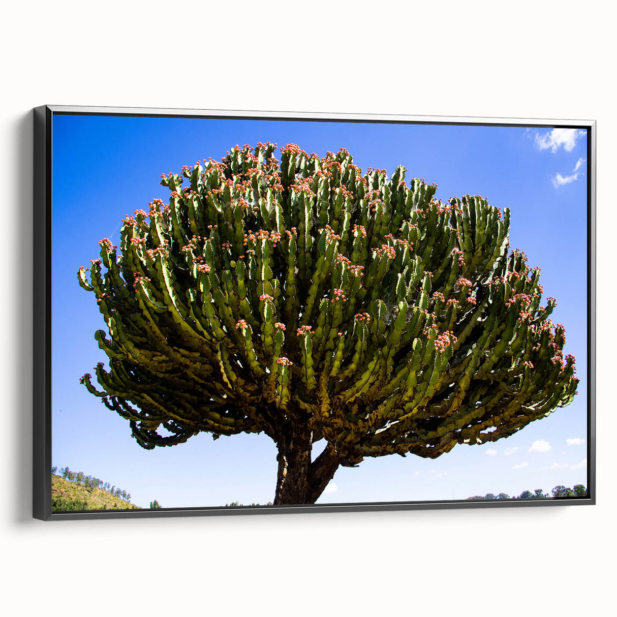 Black and white framed canvas featuring a vintage-style Ethiopian landscape, ideal for bedroom decor.