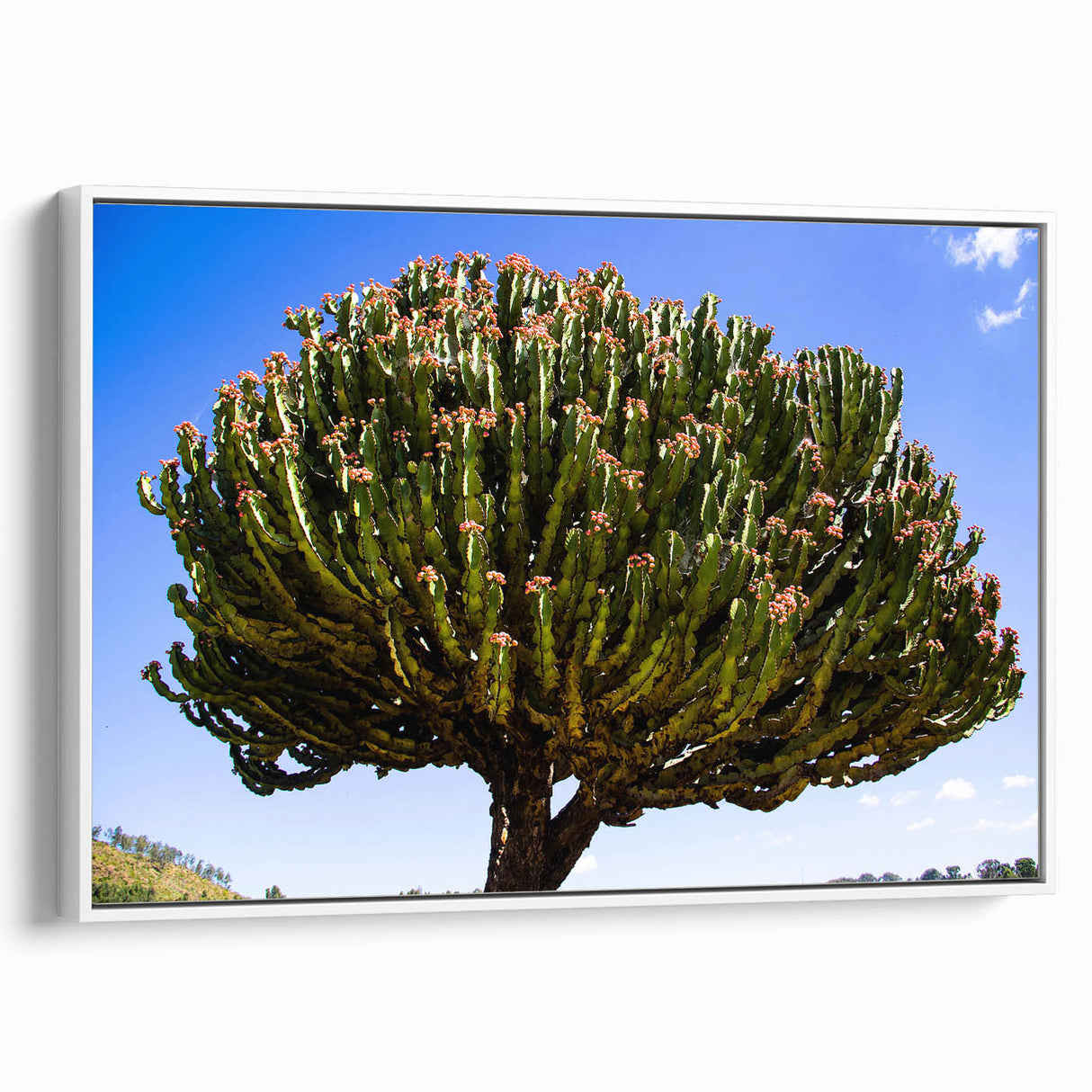 Framed canvas depicting a vintage-style Ethiopian landscape in muted earth tones, ideal for bedroom wall art.