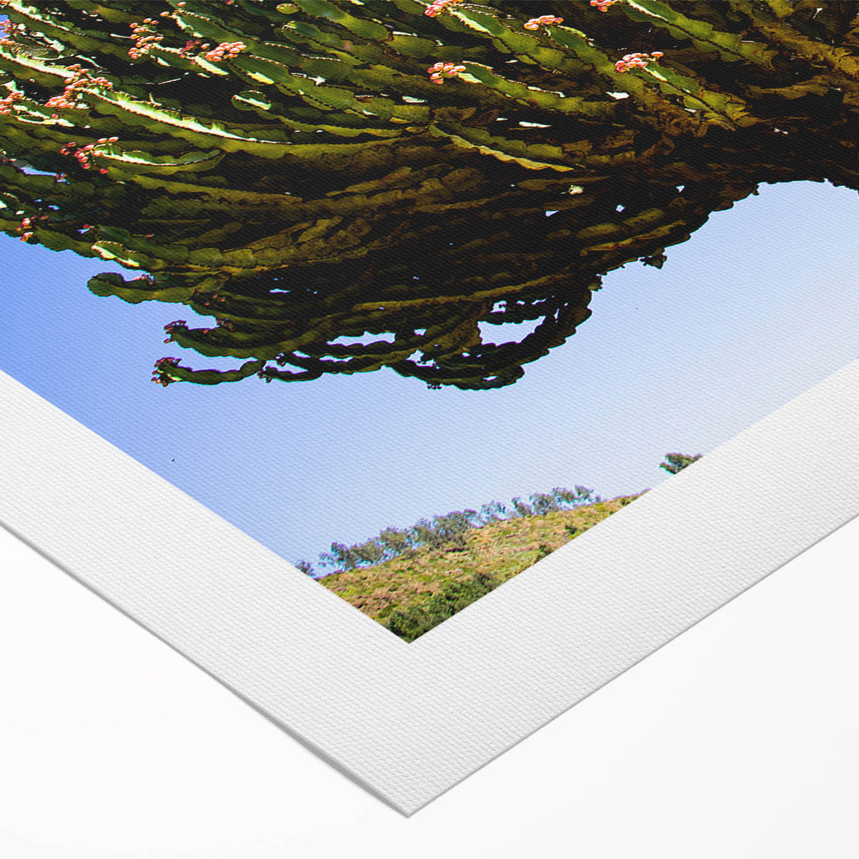 Art deco poster featuring Ethiopian landscape in muted earth tones on rolled canvas, suitable for dining room decor.