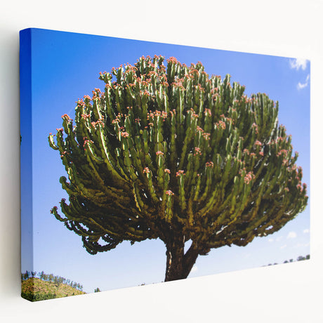 Large art depicting the Ethiopian scenery on stretched canvas, featuring earthy tones, ideal for kitchen wall art.