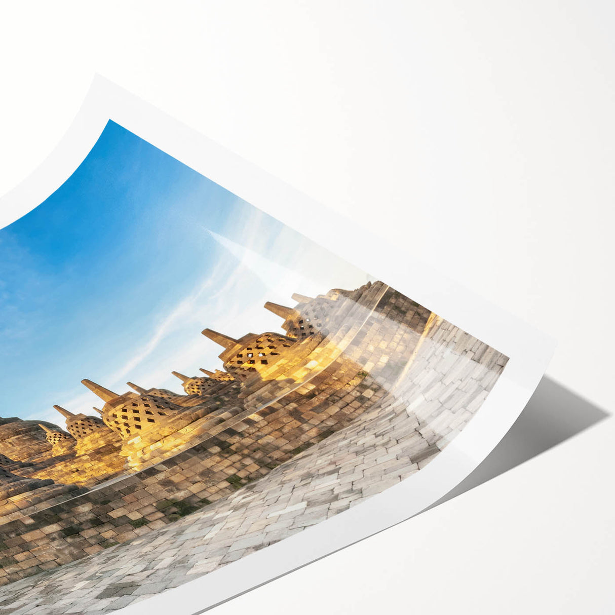 Extra large wall art featuring line art flowers in soft gray tones on rolled print, suitable for large living room decor.