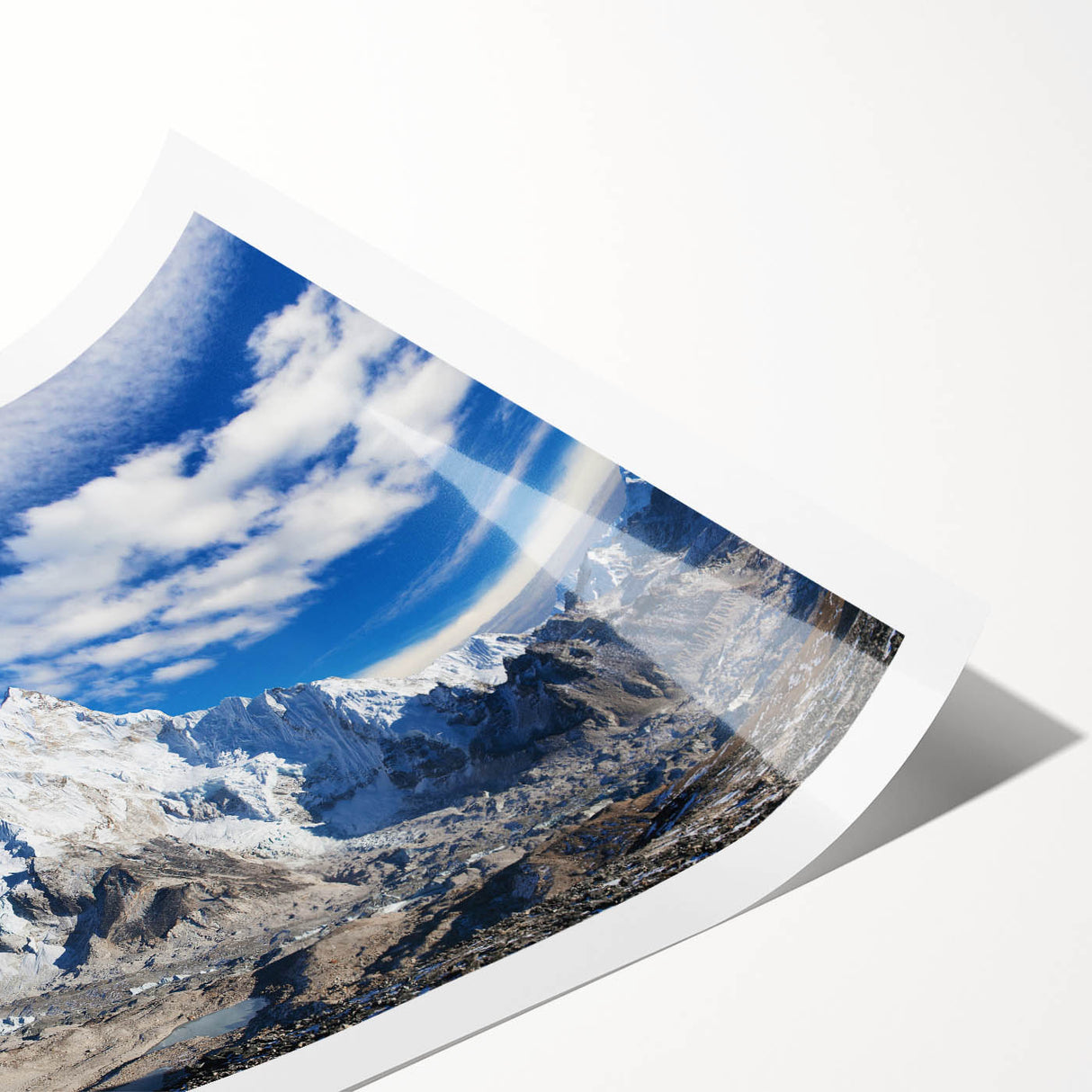 Extra large wall art featuring line art flowers, in black and white, on a rolled canvas.