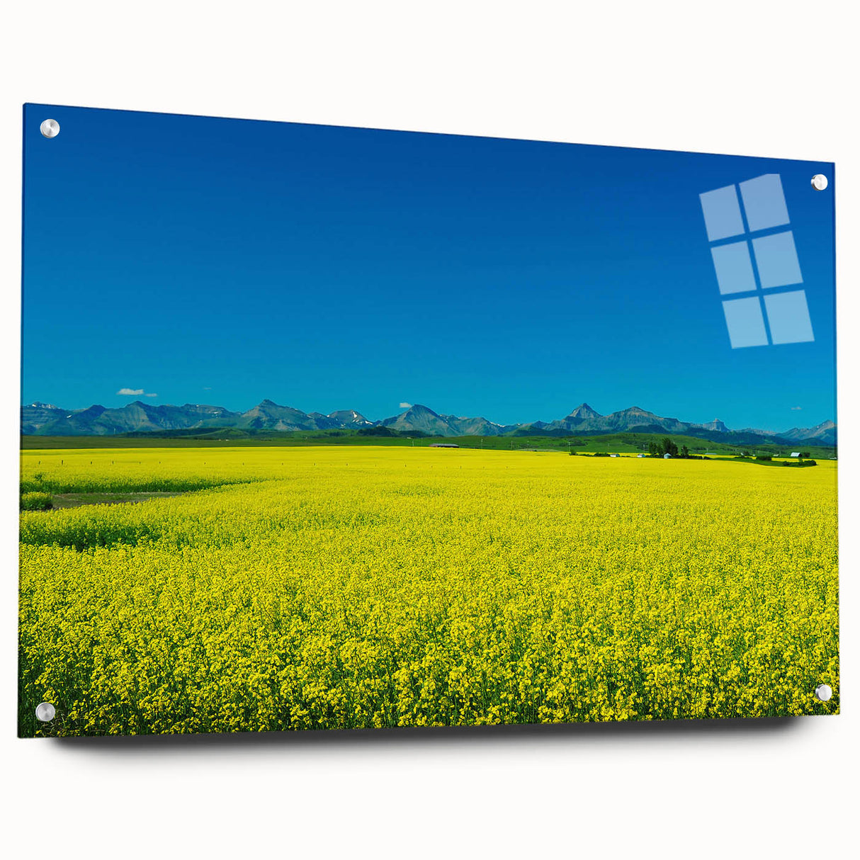 Large abstract wall art of a scenic Alberta landscape, rendered in muted earth tones on acrylic glass.