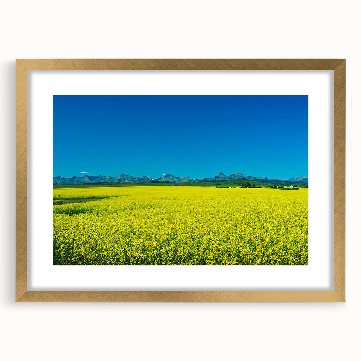 Extra large abstract art print depicting Alberta's scenery in textured gold frame, ideal for living room decor.