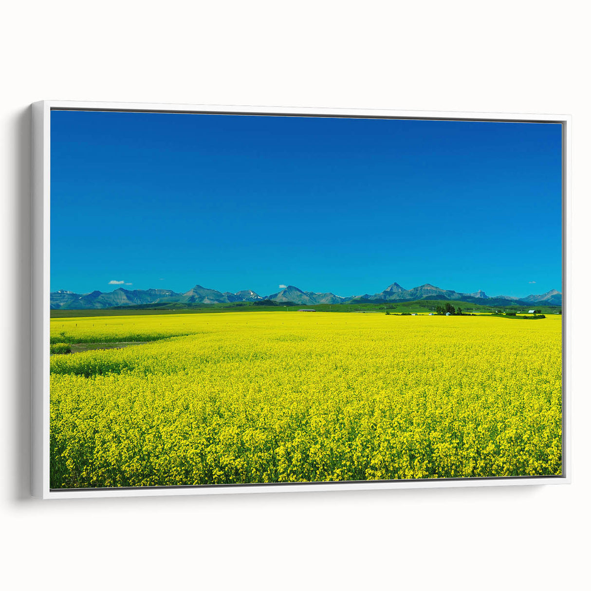 Vintage poster art of Alberta, Canada scenery on framed canvas, featuring colorful art in extra large size.