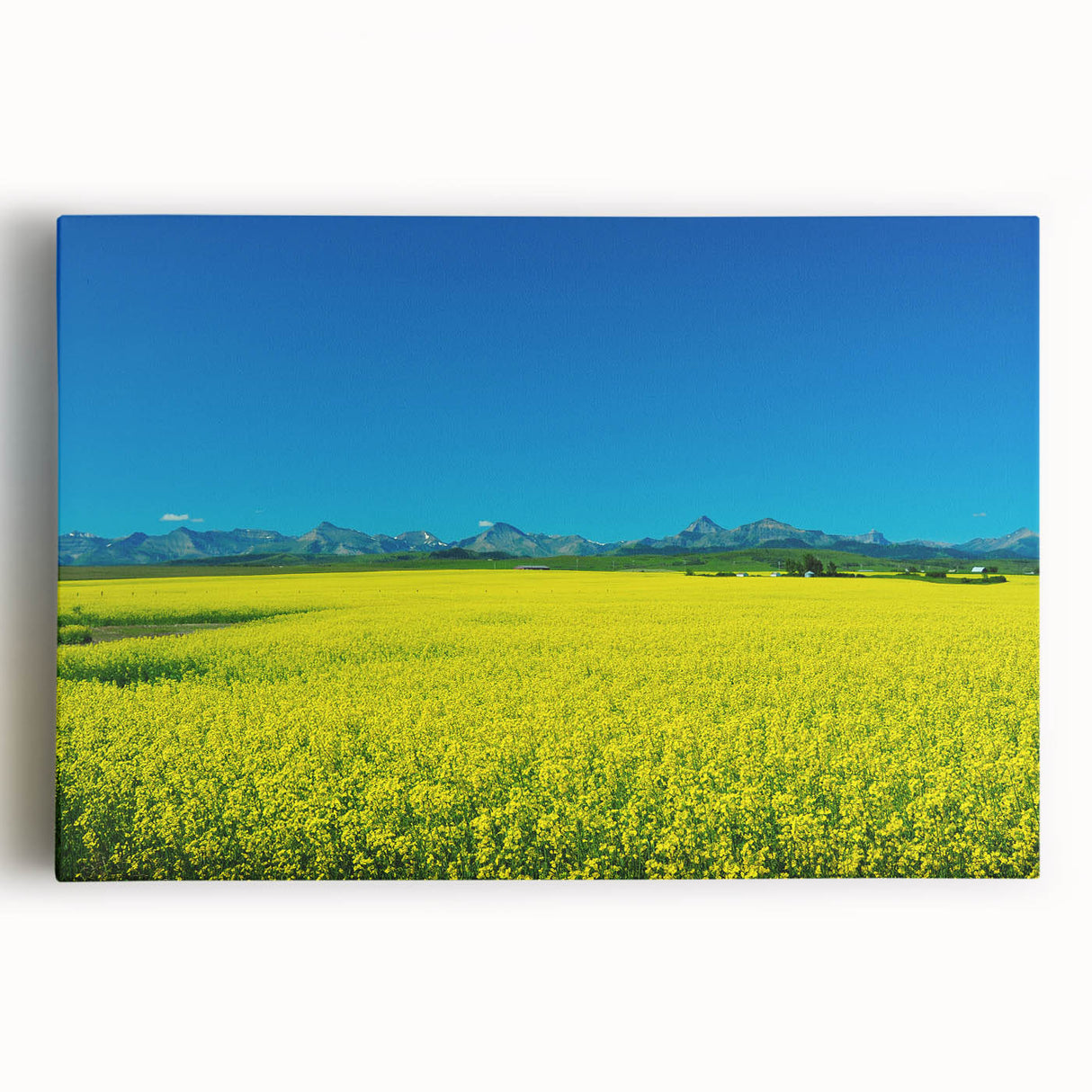 Black and white photograph of Alberta, Canada scenery on large stretched canvas, ideal for kitchen wall art.