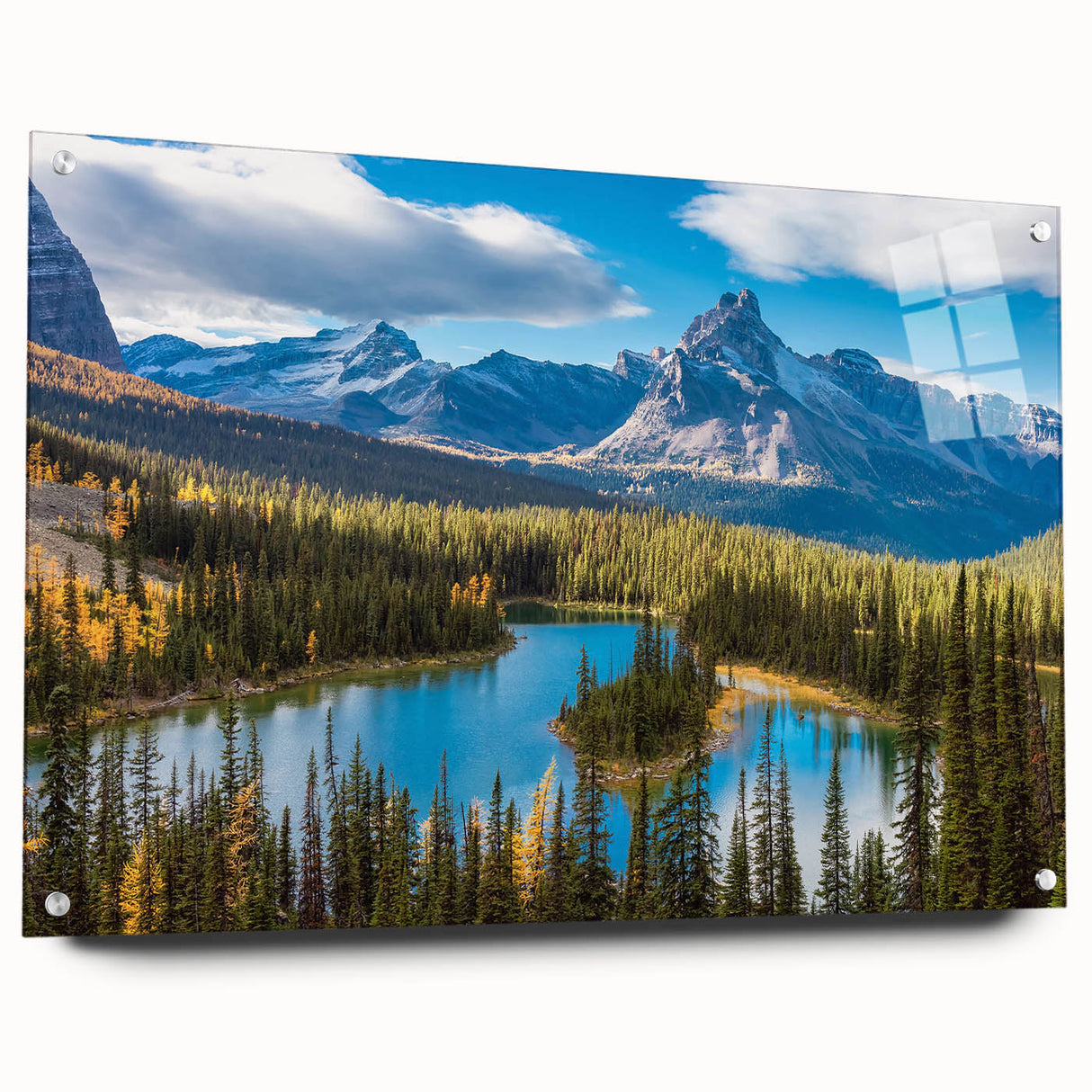 Acrylic print of a British Columbia landscape, featuring lush greens and blues, ideal for dining room decor.