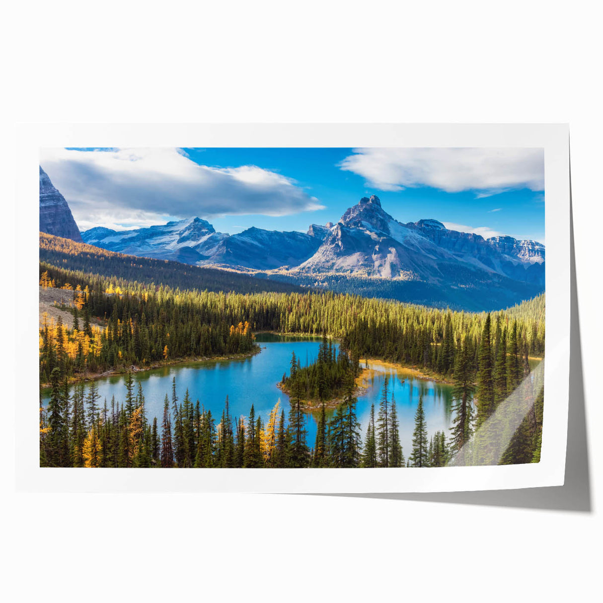 Rolled print of British Columbia scenery with lush green forests and mountains, ideal for art wall dining room.