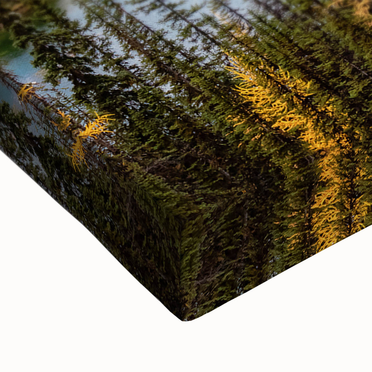 Large art of British Columbia landscape in black and white on stretched canvas, suitable for bedroom wall decor.