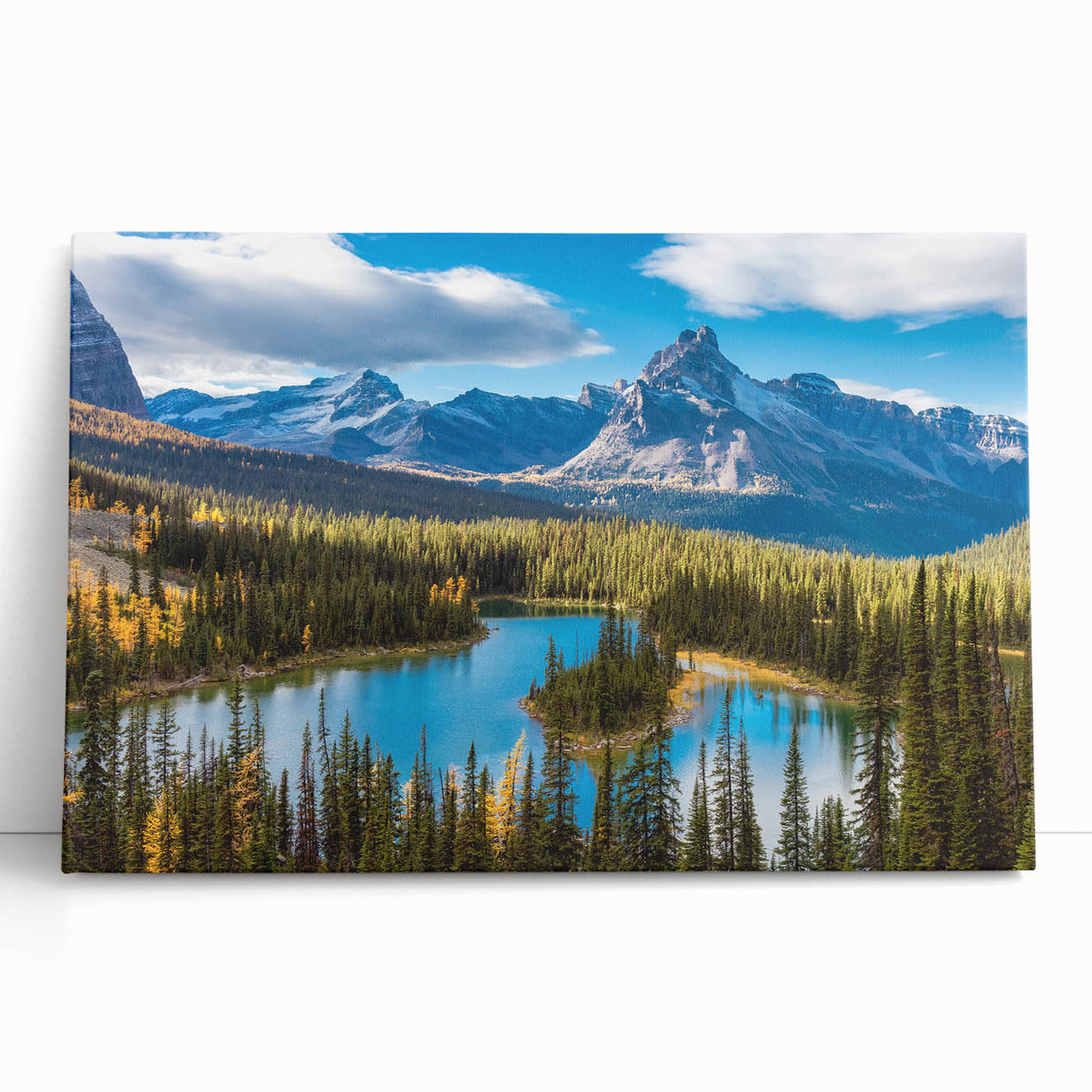Black and white large art print of British Columbia scenery on stretched canvas.