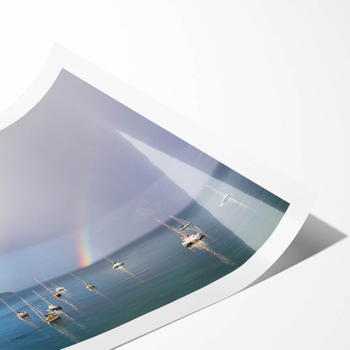 Extra large wall art featuring line art flowers in soft pastel shades on a rolled canvas, ideal for large living room decor.