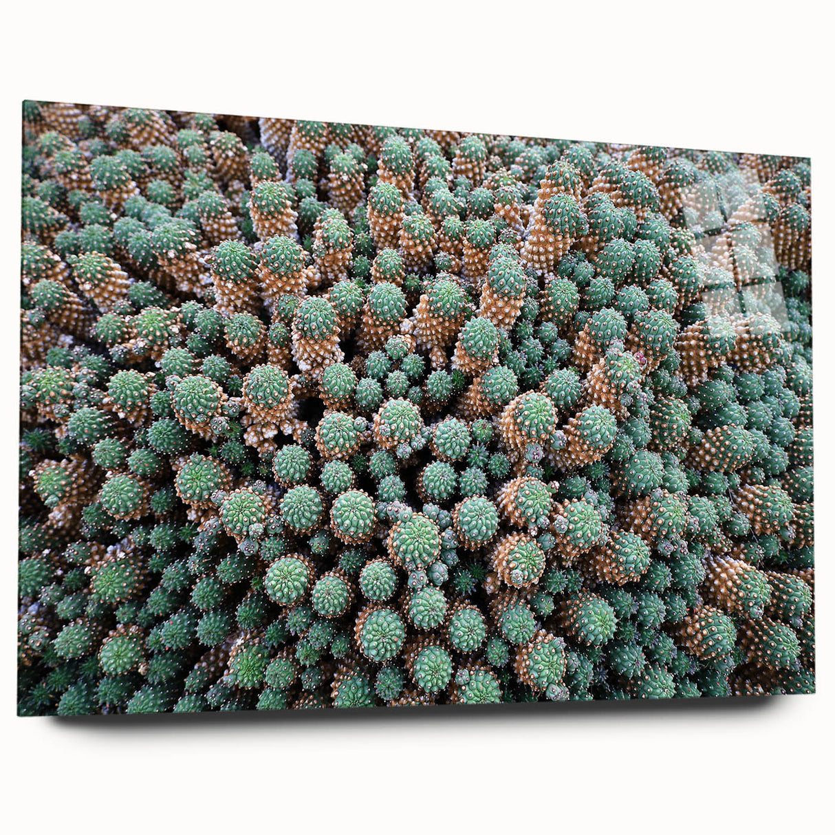 Large abstract wall art of a European scenery in muted earth tones on acrylic glass, ideal for bedroom or dining room decor.