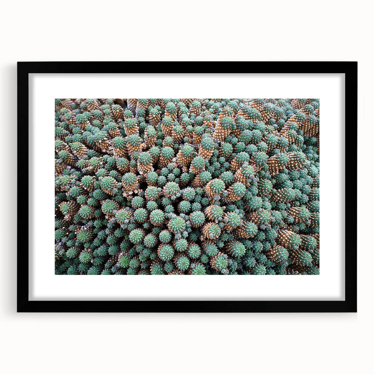 Extra large abstract art print of colorful, textured European scenery on a black framed canvas, ideal for living room decor.