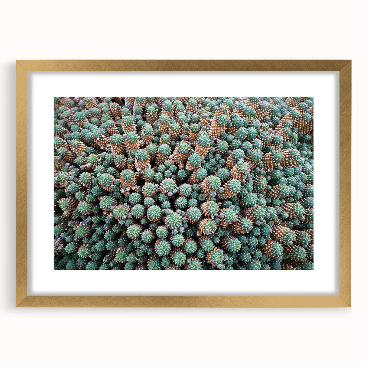 Abstract art print of a European scenery in gold frame with mat, featuring muted earth tones, ideal for dining room decor.