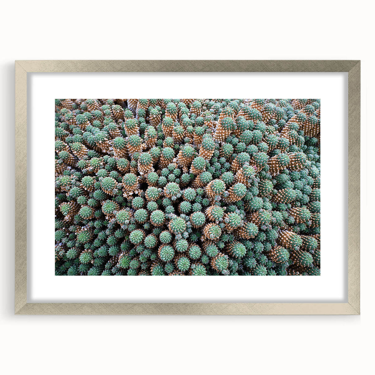 Extra large abstract art print of a textured European scenery in muted earth tones, framed in silver.