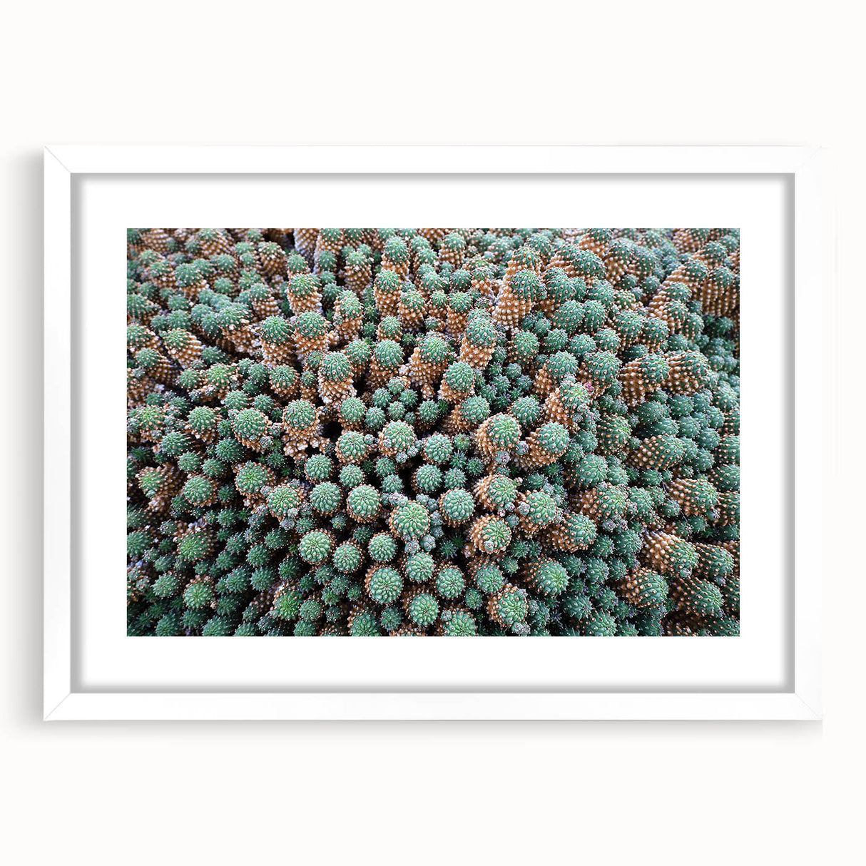 Textured abstract art print of a European scenery in muted earth tones, framed with a white mat, suitable for bedroom art.