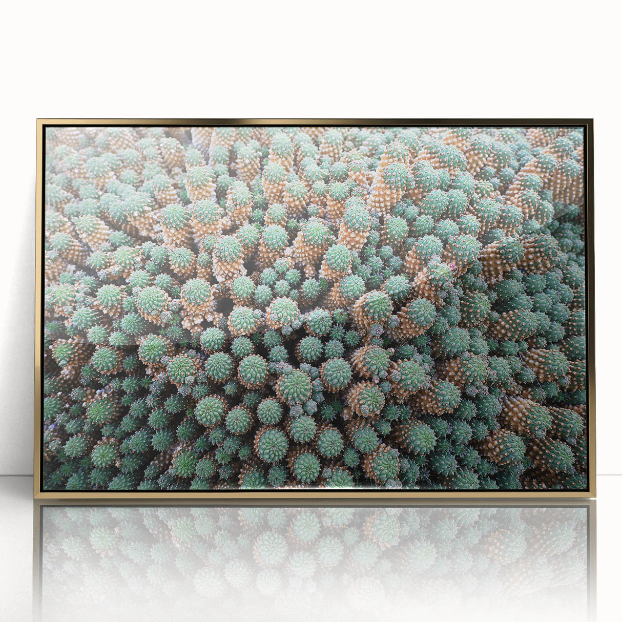 Art Deco style poster of a European scenery, in muted gold and blue tones, acrylic framed, ideal for modern art wall decor.