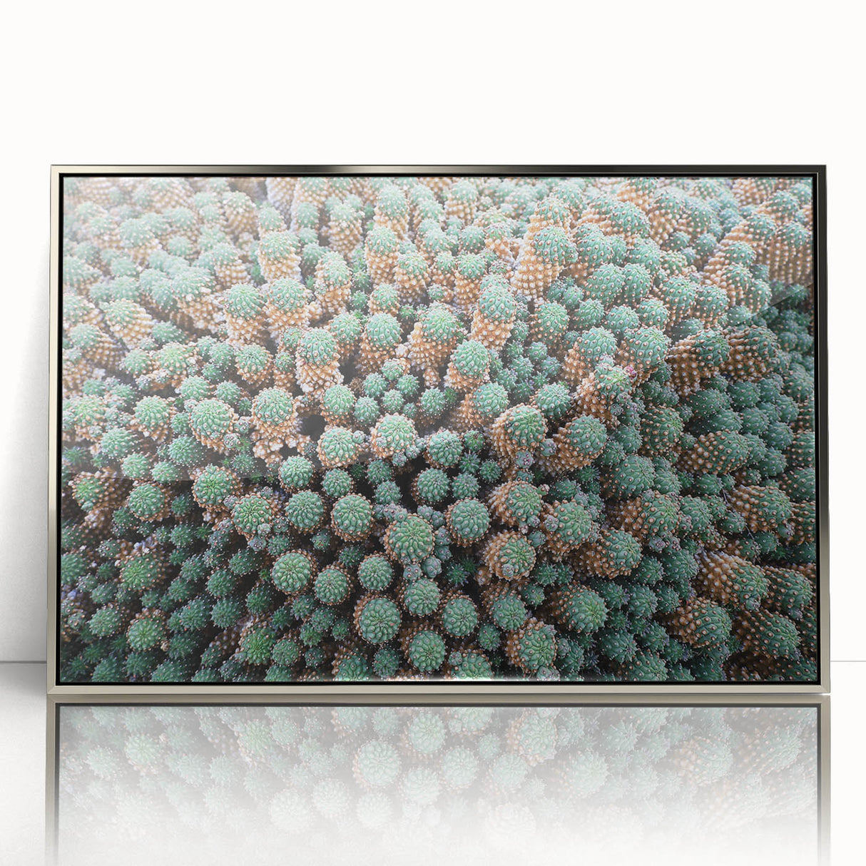 Large art print of a European Canary Island scenery in mid-century modernist style, framed in silver acrylic.