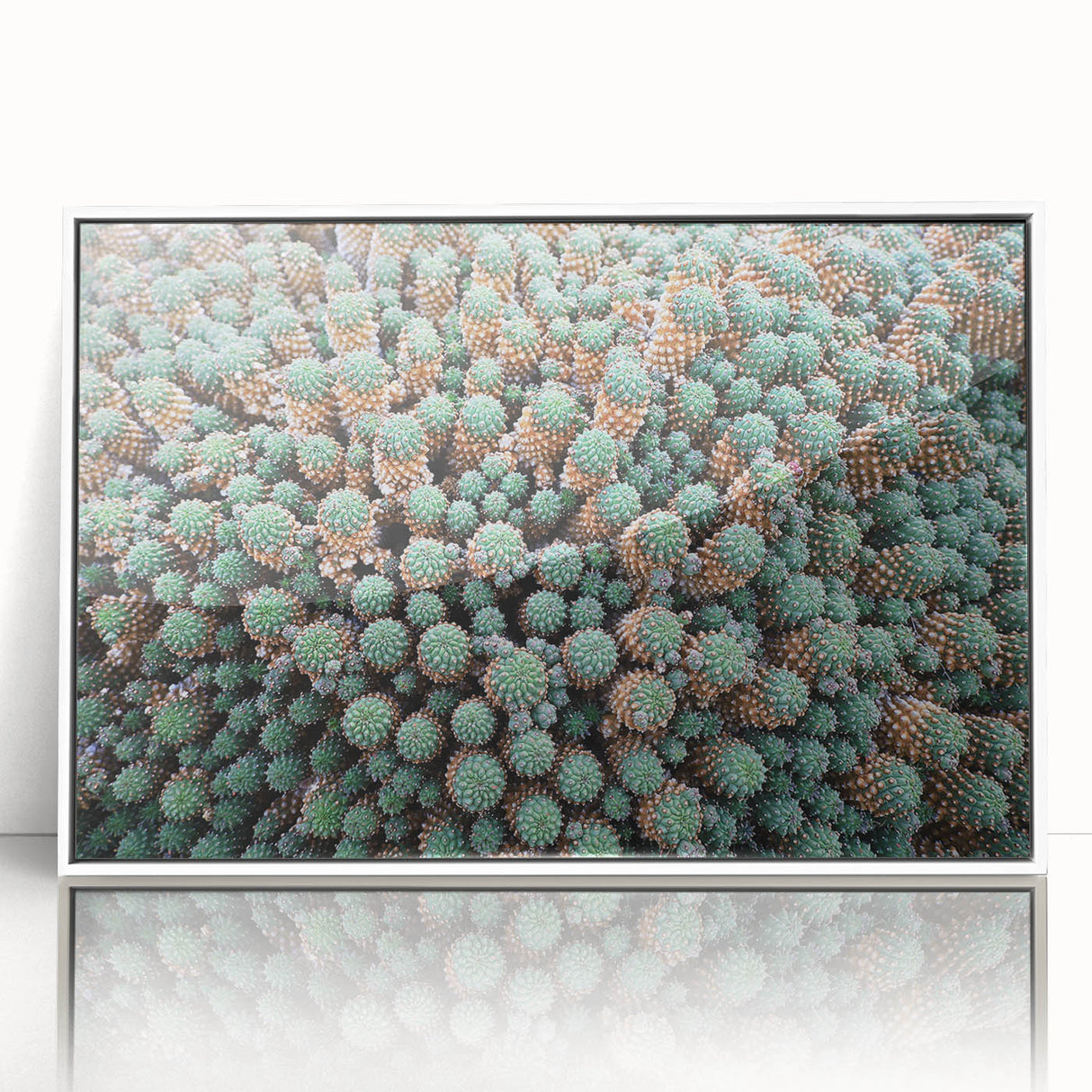 Mid-century modernist art depicting a scenic view of the Canary Islands, with soft pastel colors on a framed acrylic print.