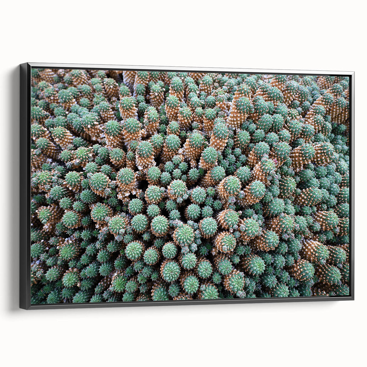 Black and white framed canvas featuring a vintage-style landscape of the Canary Islands, suitable for bedroom decor.