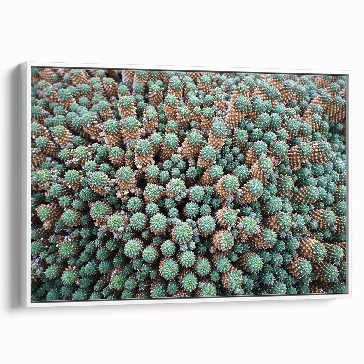 Vintage poster art of a scenic European view in Canary, Spain on framed canvas, featuring vibrant colors.