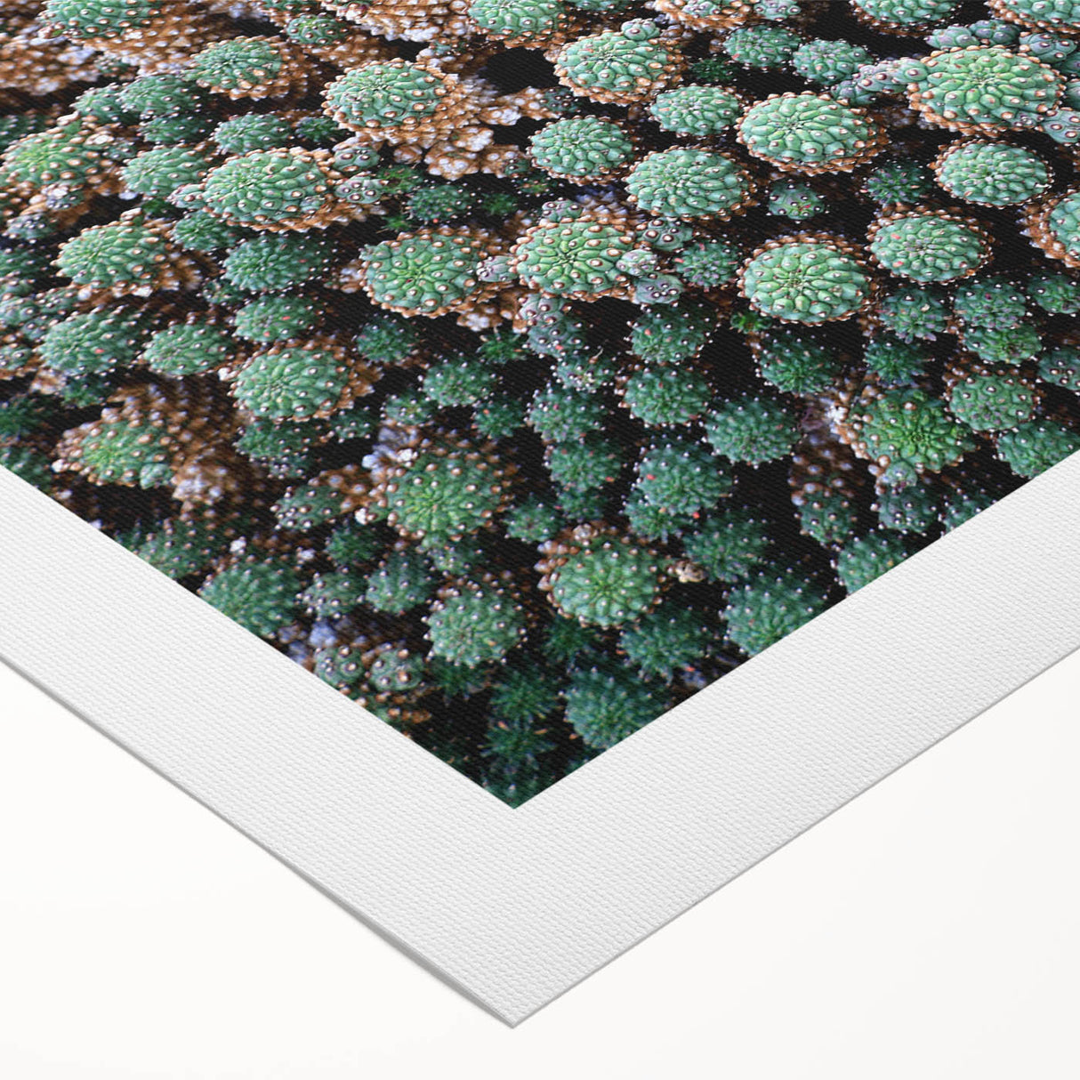 Art deco poster featuring a vibrant scene of the Canary Islands on a rolled canvas, suitable for dining room decor.