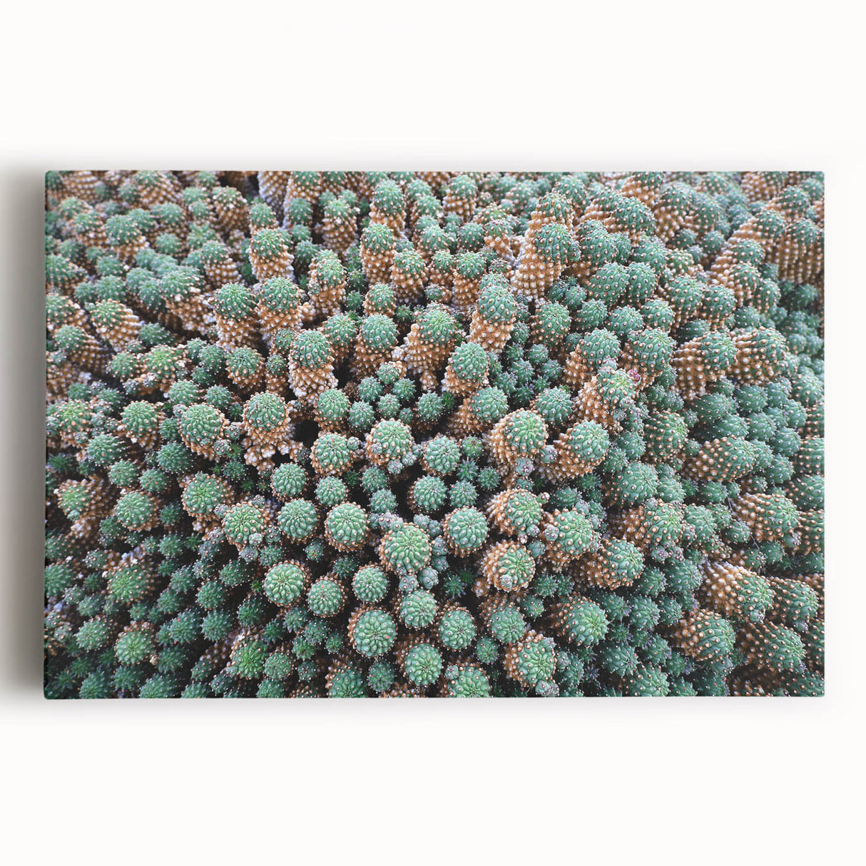 Black and white stretched canvas featuring a scenic view of Canary Islands, ideal for kitchen wall art.