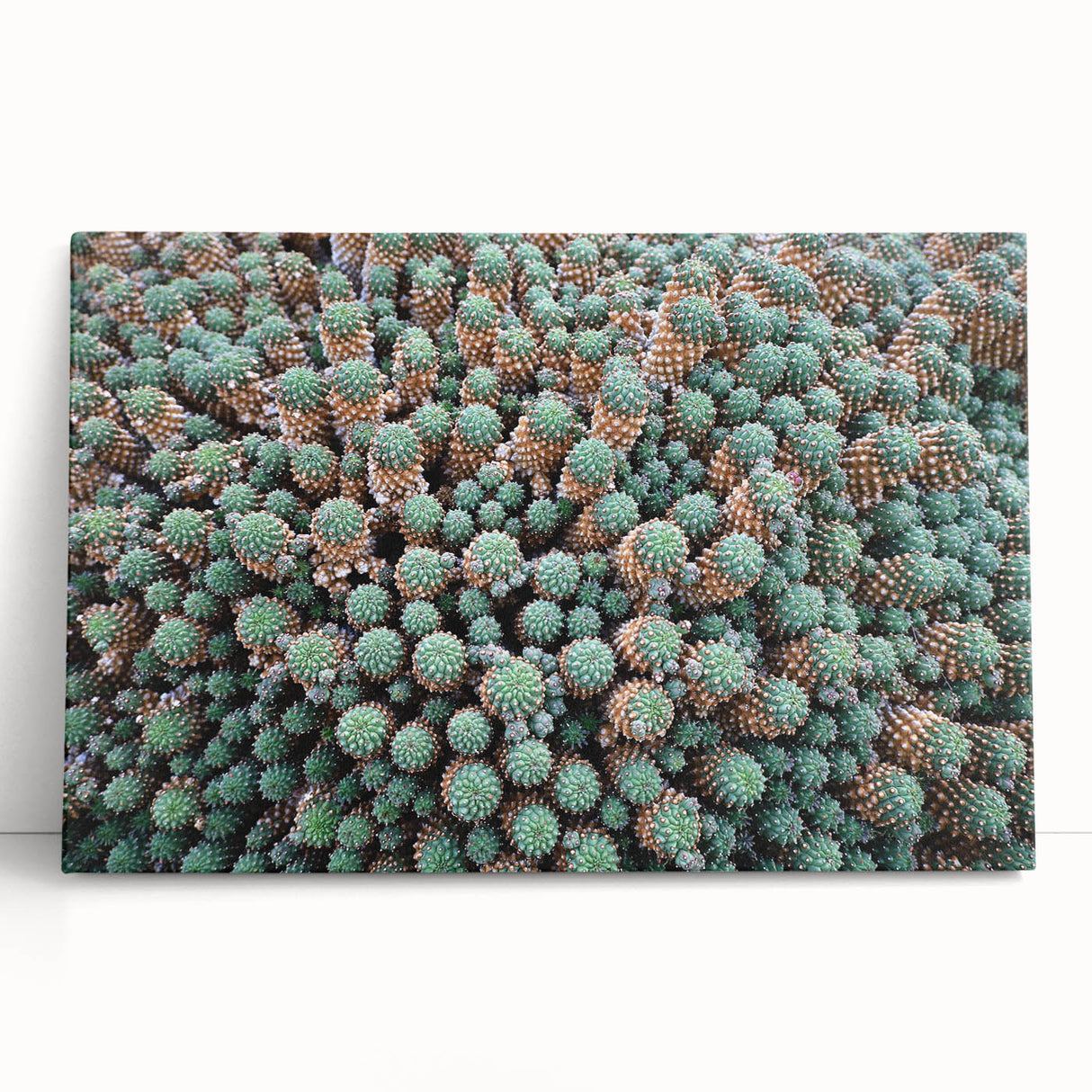 Black and white photograph of a European scenery on stretched canvas, ideal for kitchen wall art.