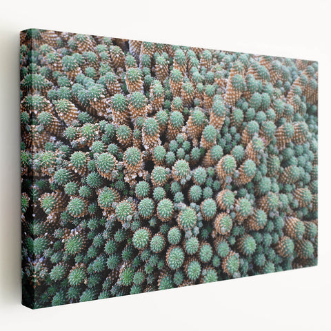 Large art depicting a scenic European village in warm earth tones on stretched canvas, suitable for kitchen wall decor.