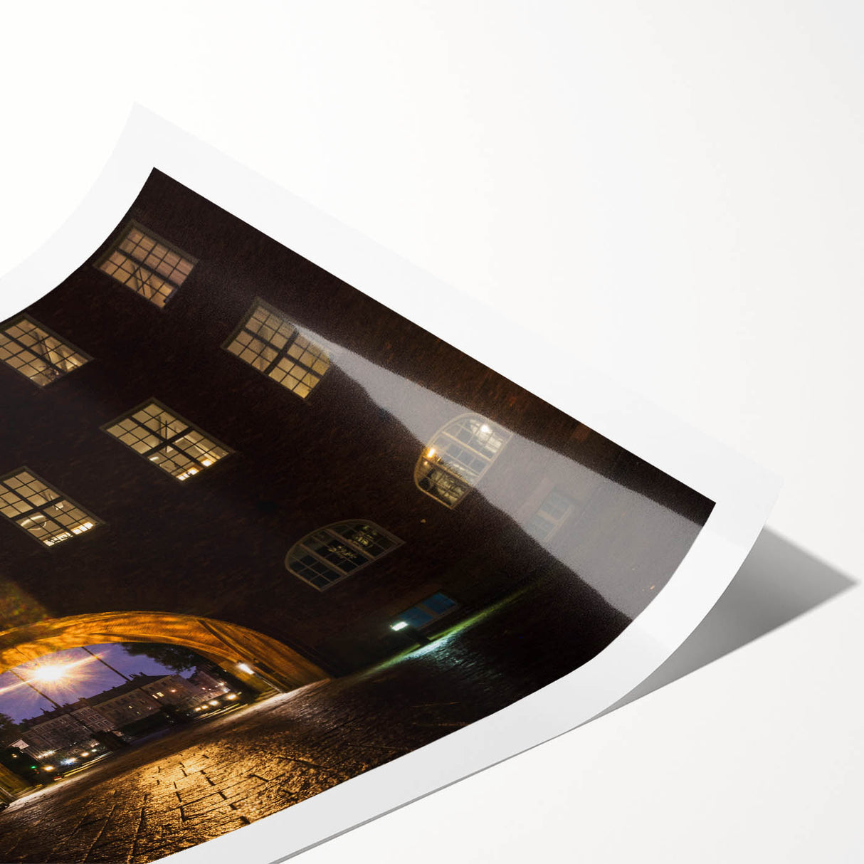 Extra large wall art featuring line art flowers in black and white, ideal for large living room decor.