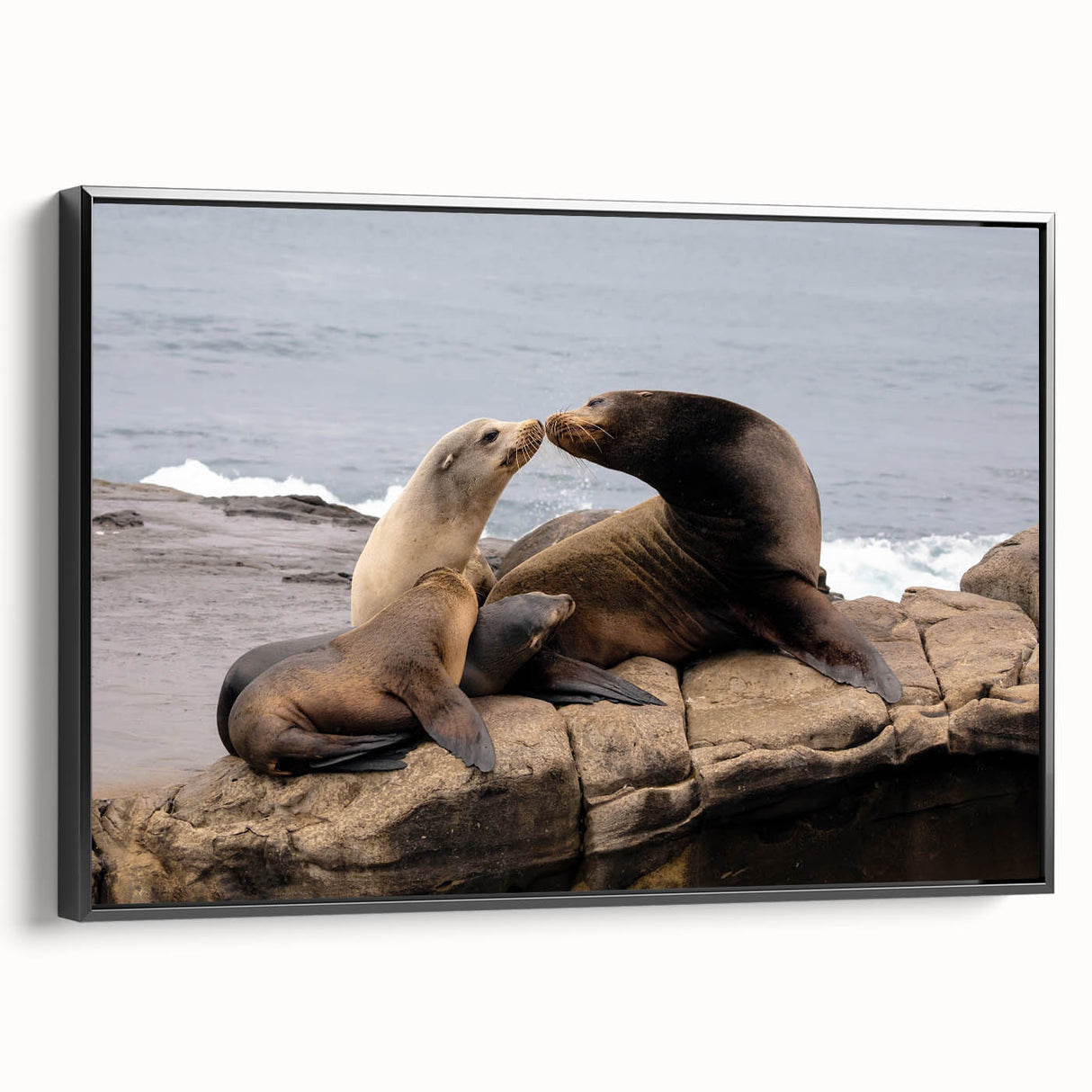Black and white framed canvas of San Diego landscape, ideal for bedroom decor.