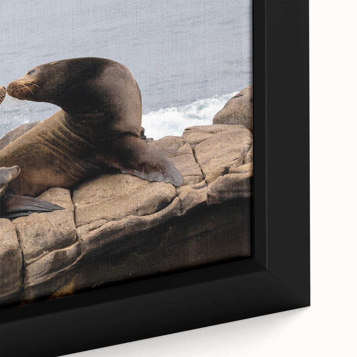 Extra large framed canvas of San Diego scenery in vibrant colors with a textured surface, ideal for living room decor.