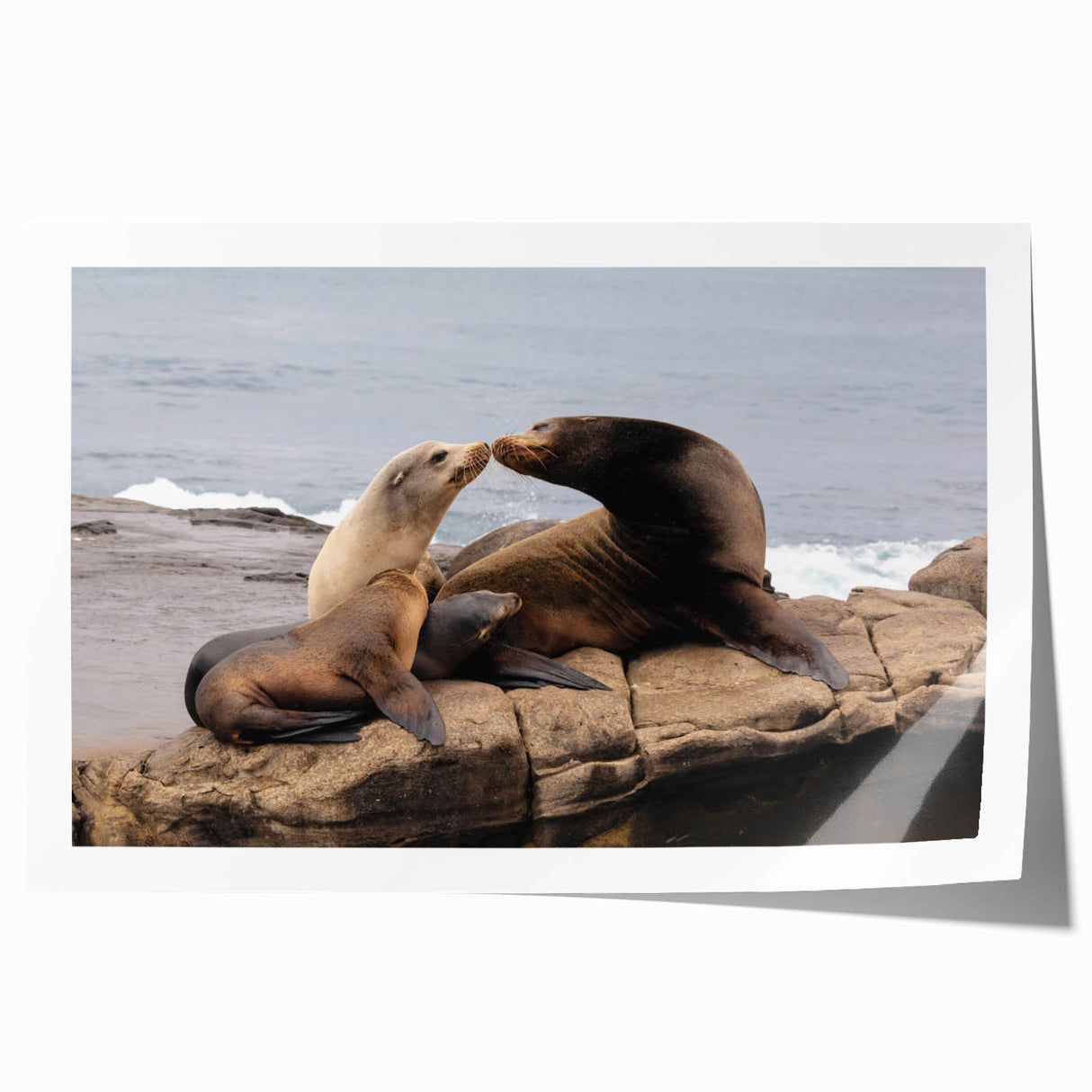 Extra large rolled print of San Diego scenery in pastel shades, ideal for art wall dining room.