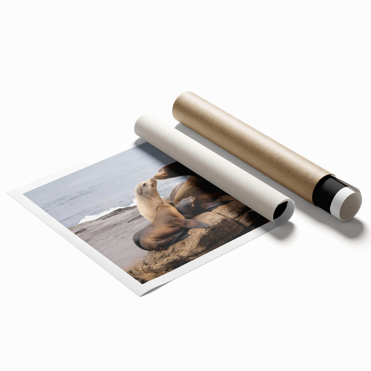 Extra large rolled print featuring a serene San Diego landscape in soft pastel shades, ideal for classy bathroom wall art.