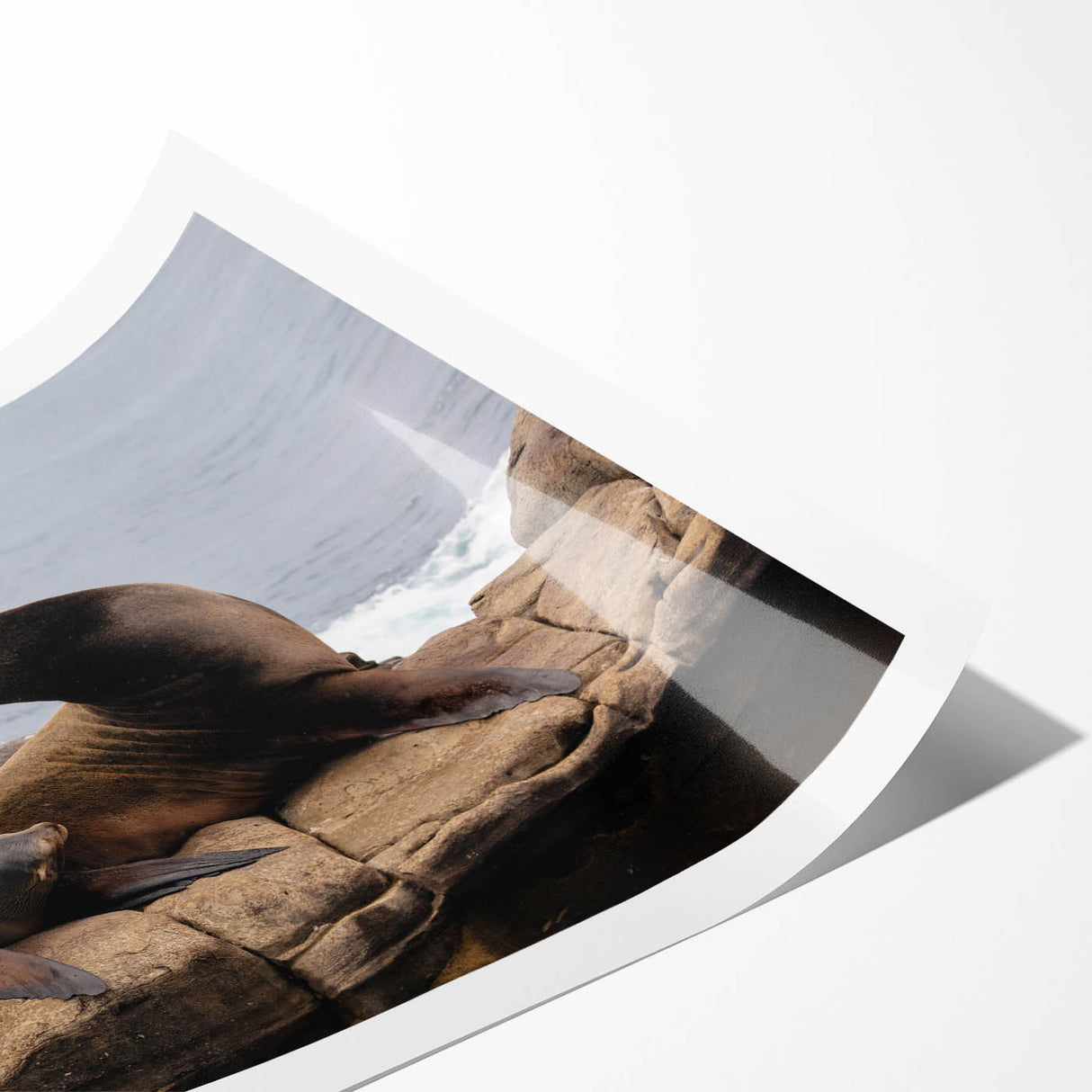 Extra large wall art featuring line art flowers in black on a white background, perfect for large living room wall decor.