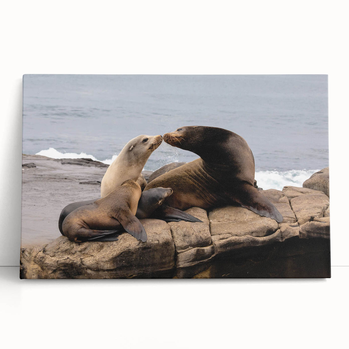 Black and white photo of San Diego skyline on large stretched canvas, ideal for kitchen wall art.