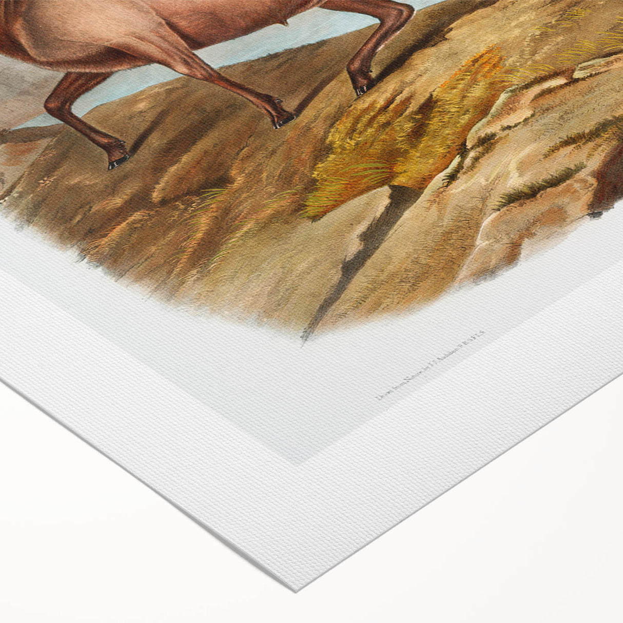 RomanticRomanticism Art - Rocky Mountain Sheep - Classic Animal Printism Art - Marriage A-la-Mode 3 - Classic Romantic Print (Copy)