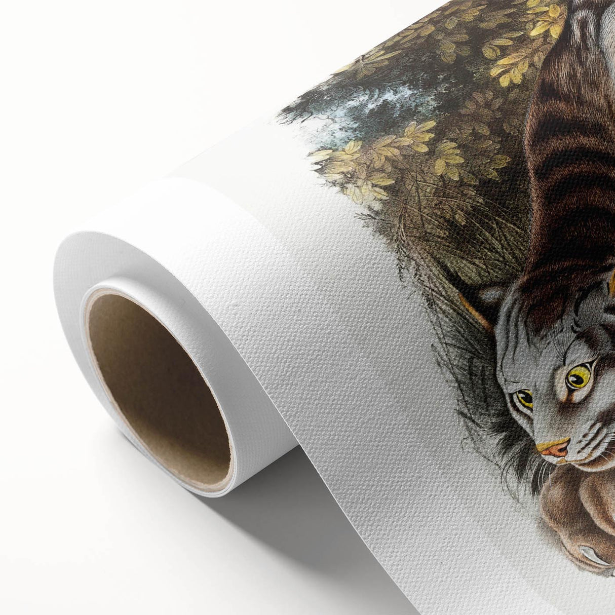 Romanticism Art: "Canada Lynx" by John Woodhouse Audubon