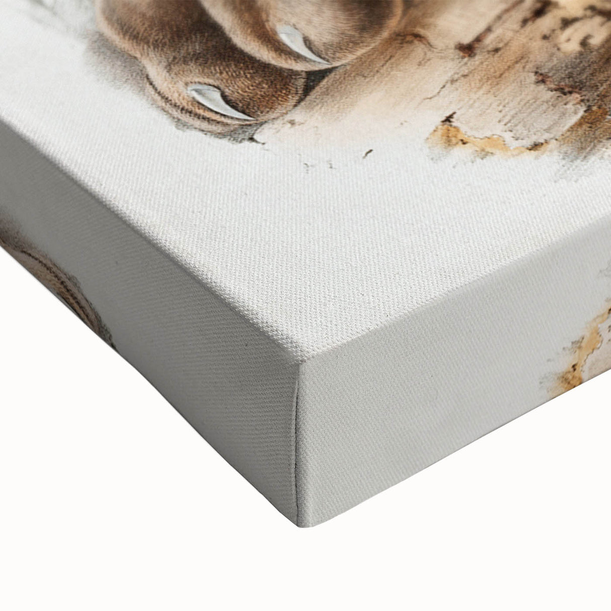 Romanticism Art: "Canada Lynx" by John Woodhouse Audubon