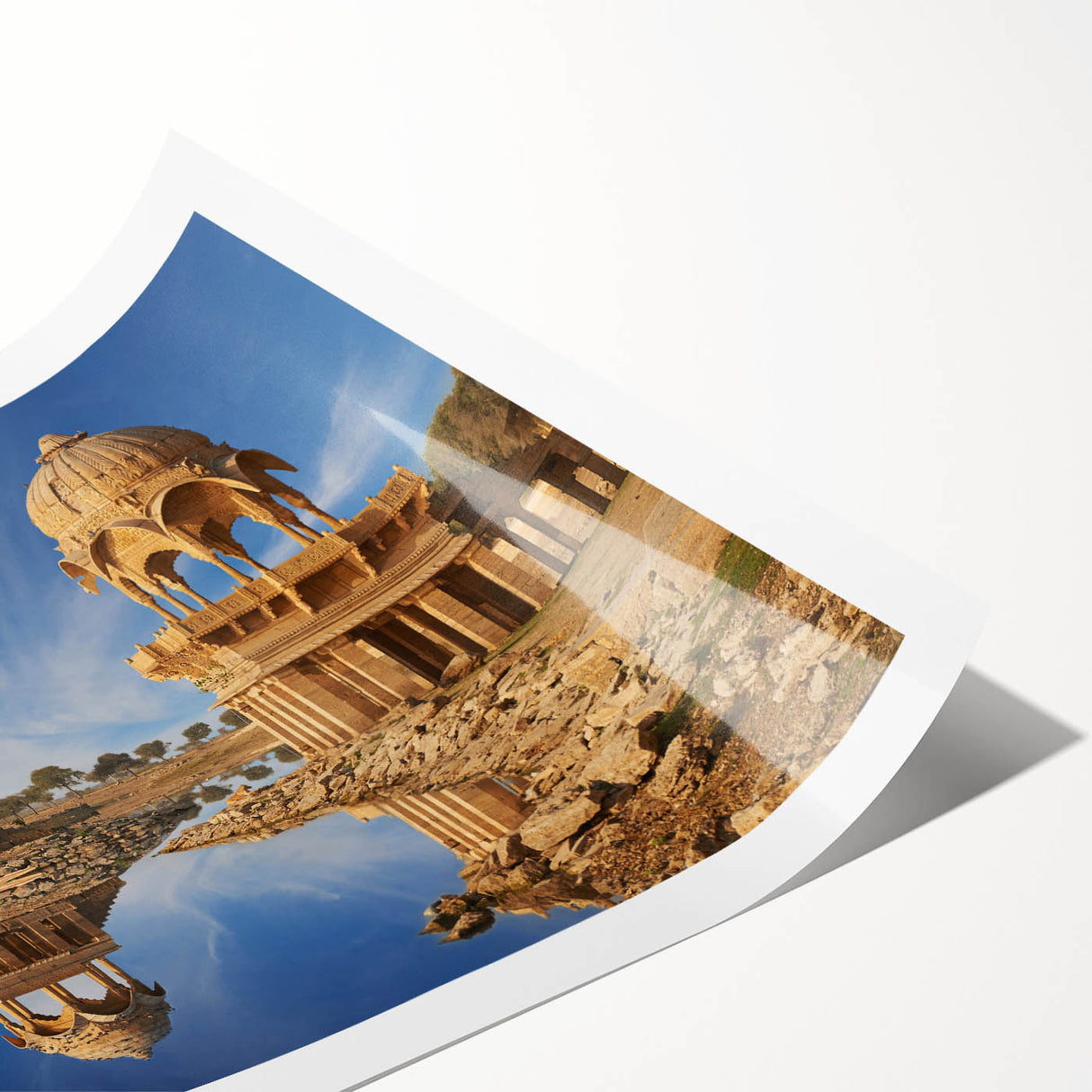 Extra large rolled print of line art flowers in monochrome, ideal for large living room wall art.