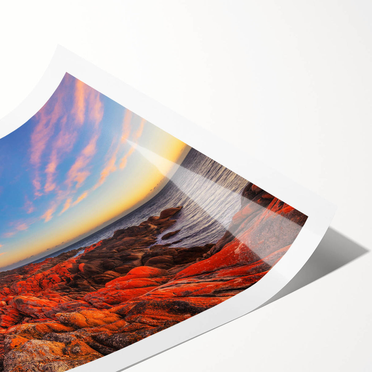 Extra large wall art featuring line art flowers in muted earth tones, printed on rolled canvas.