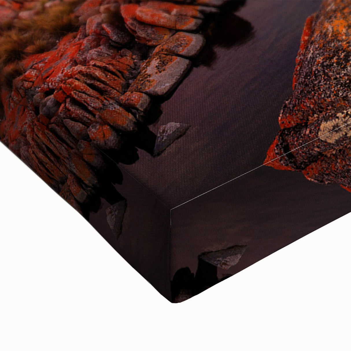 Large art of a Tasmanian landscape in black and white on stretched canvas, suitable for bedroom wall decor.