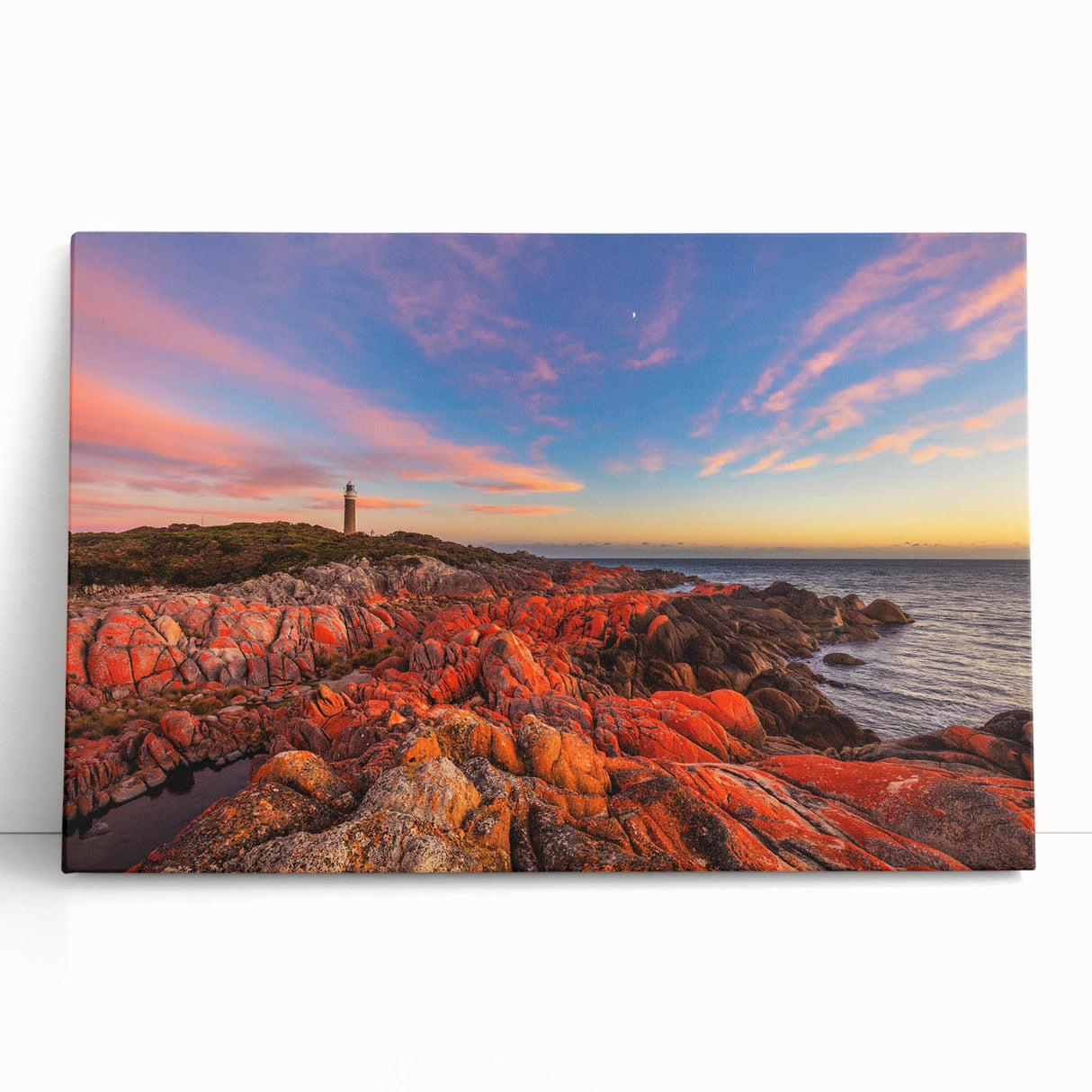 Large black and white stretched canvas of Tasmania scenery, ideal for kitchen wall art.